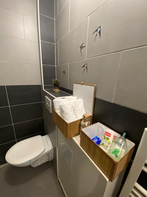 Prive Et Calme Eurexpo Groupama Stadium Tram Parking Terasse Apartment *